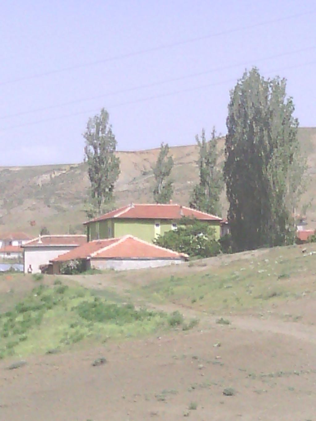 kiraz oglu köyü mustafa çifçiikenin ...